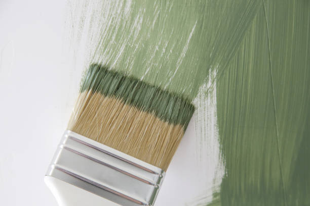 Best Mold Prevention Services  in Telluride, CO