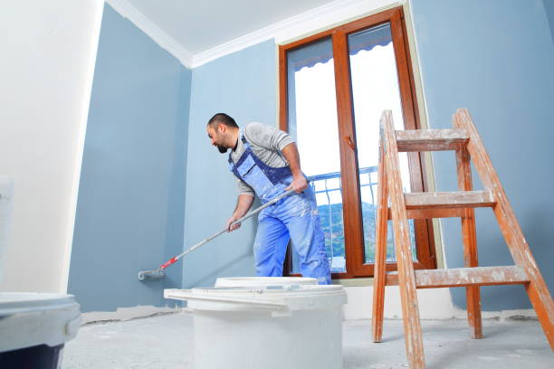 Best Mold Odor Removal Services  in Telluride, CO