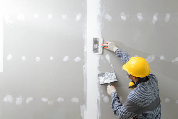 Best Mold Remediation for Healthcare Facilities  in Telluride, CO