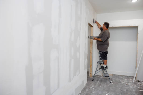 Best Crawl Space Mold Remediation  in Telluride, CO