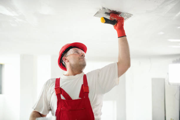 Best Industrial Mold Remediation  in Telluride, CO