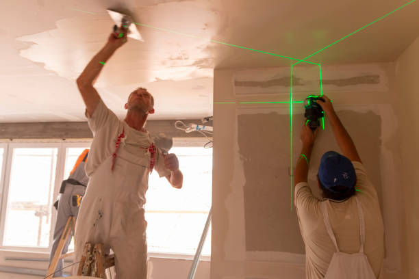 Mold Odor Removal Services in Telluride, CO