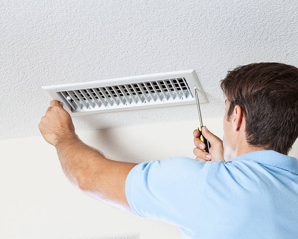 Best Mold Documentation for Insurance Claims  in Telluride, CO