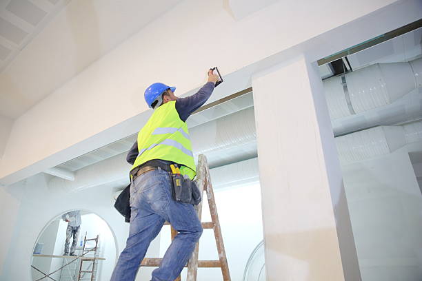 Best Black Mold Removal  in Telluride, CO