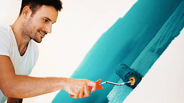 Best Emergency Mold Remediation  in Telluride, CO