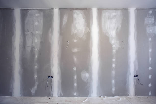 Dehumidification Services in Telluride, CO