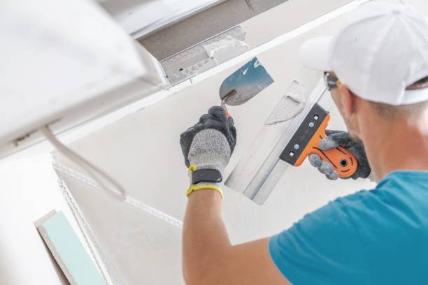 Best HVAC Mold Inspection and Cleaning  in Telluride, CO